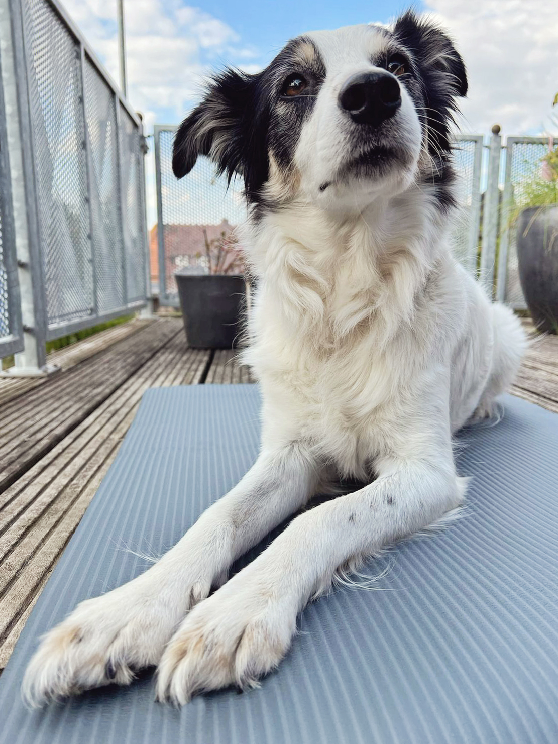 Die Parkposition